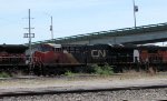 CN 3004
